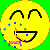 �l�X�Ȏ��v�\���̗�